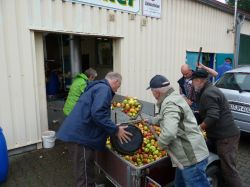 Obsternte Und Maischen 2012 19